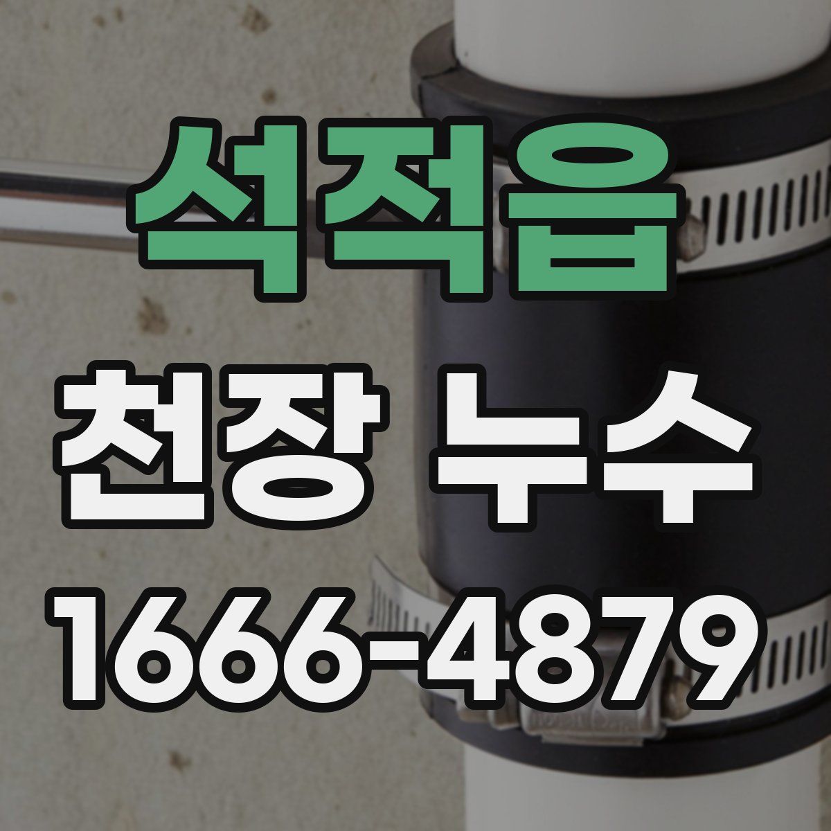 석적읍 천장 누수