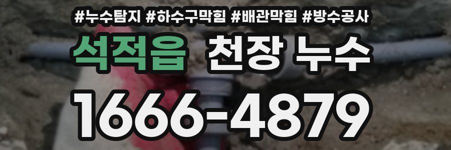 석적읍 천장 누수