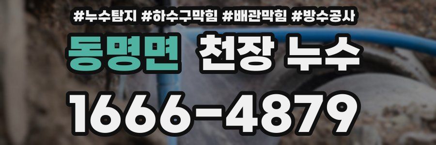 동명면 천장 누수
