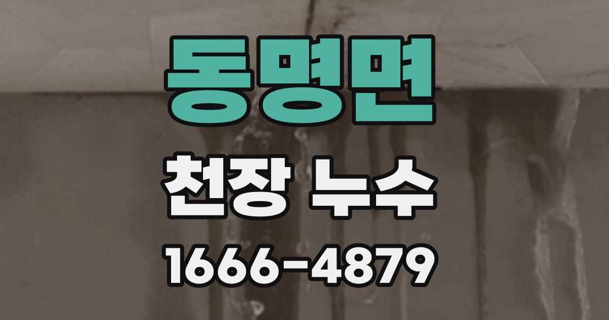 동명면 천장 누수