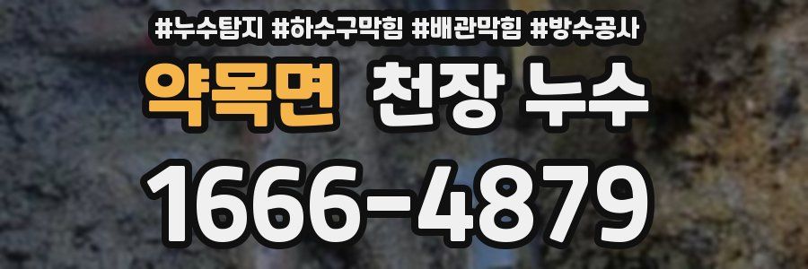 약목면 천장 누수