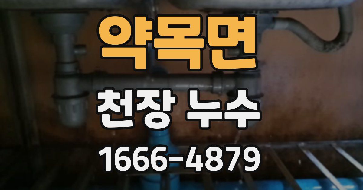 약목면 천장 누수