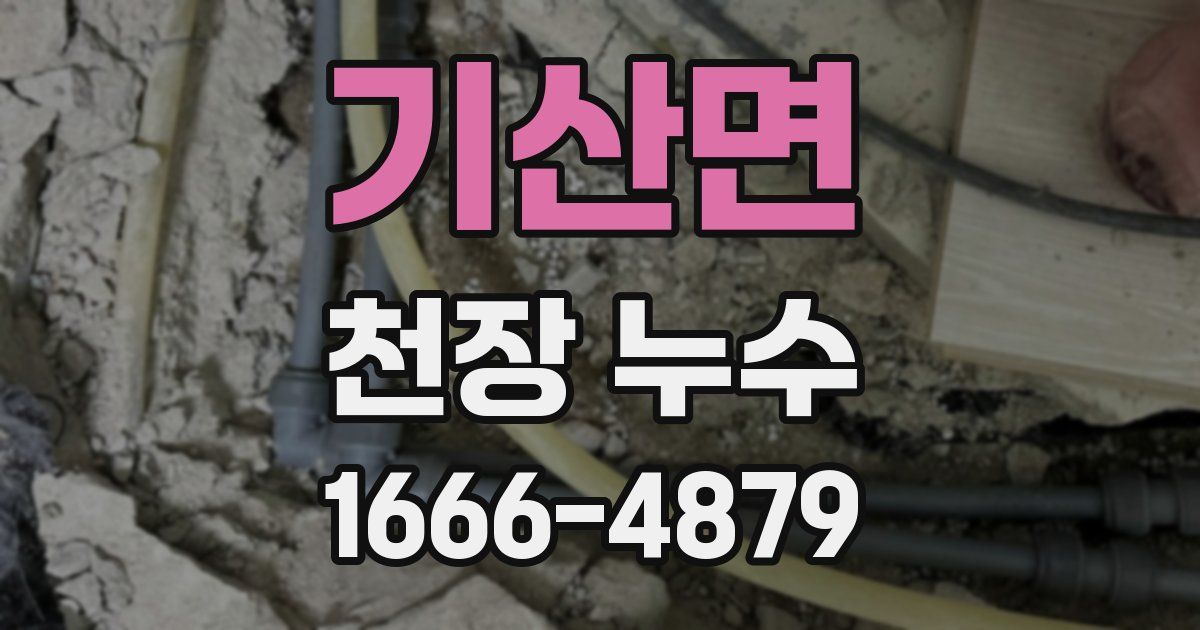 기산면 천장 누수