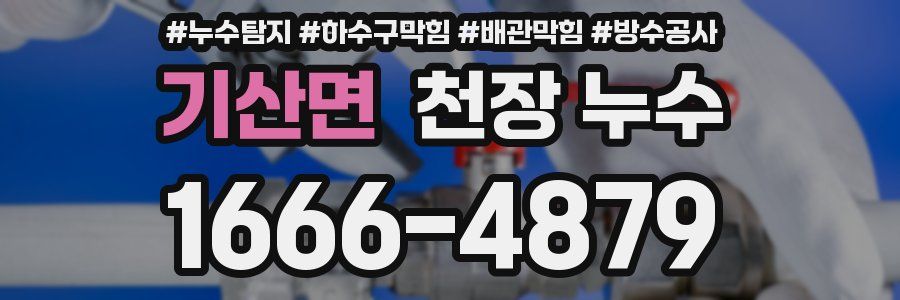 기산면 천장 누수