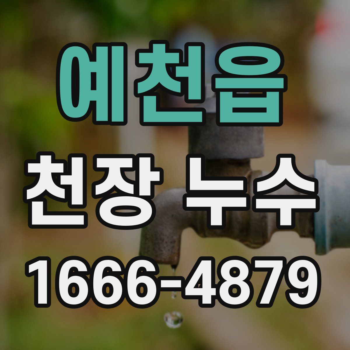 예천읍 천장 누수