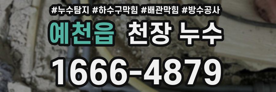 예천읍 천장 누수