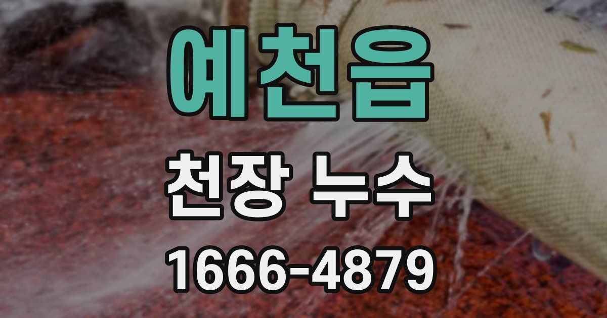예천읍 천장 누수