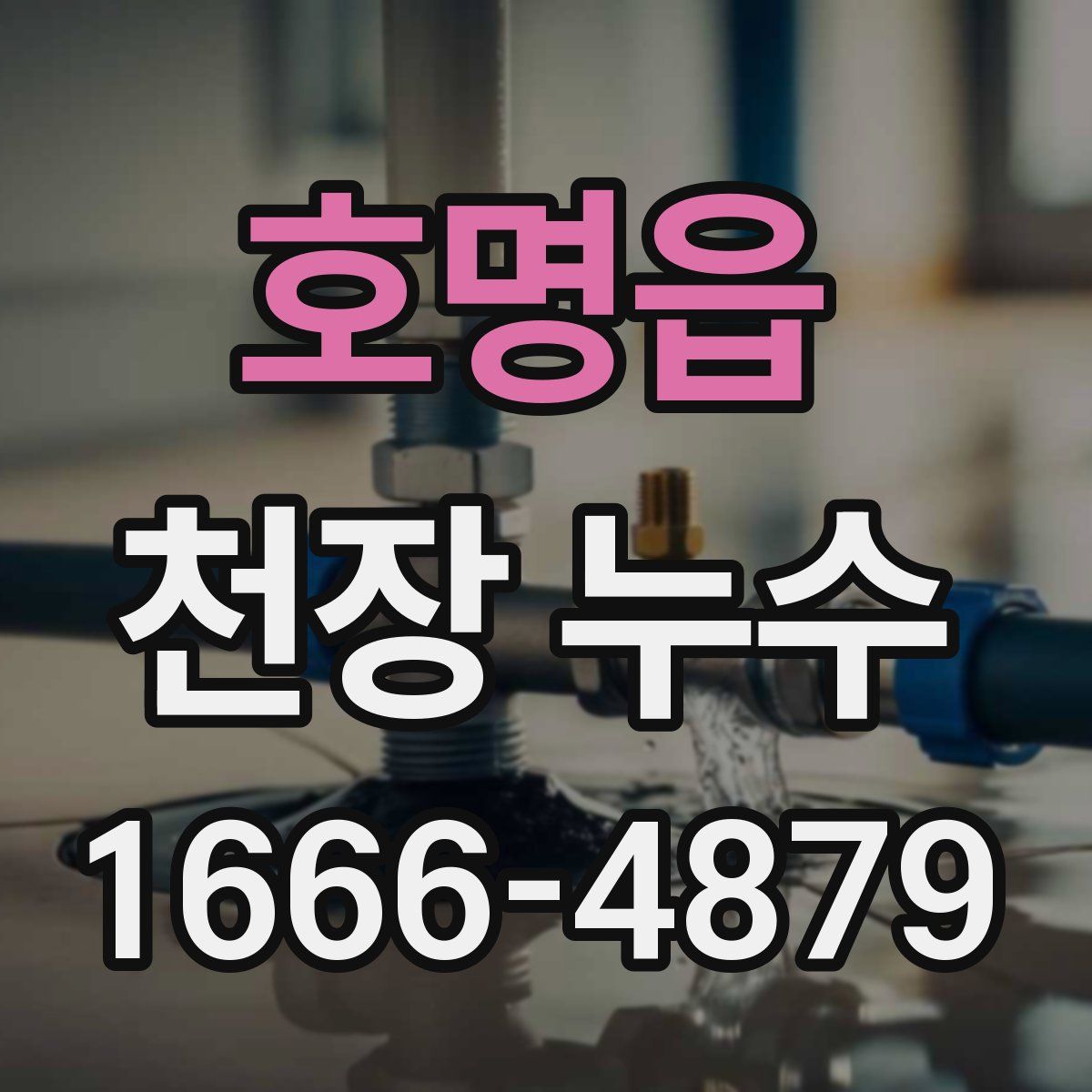 호명읍 천장 누수