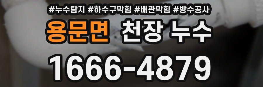 용문면 천장 누수