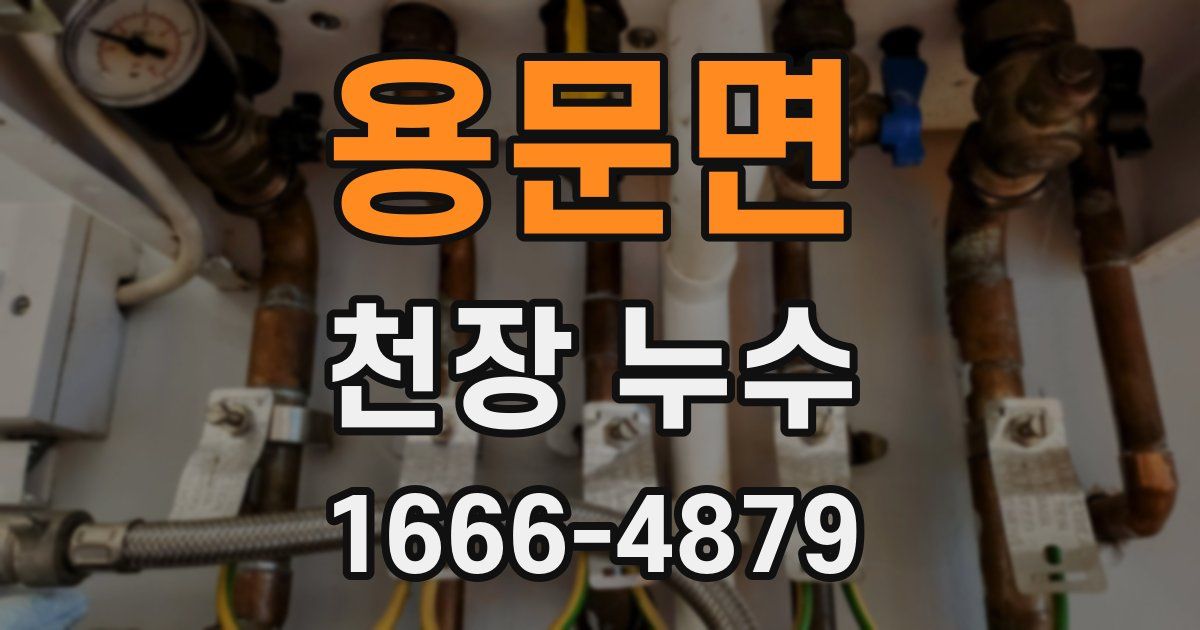 용문면 천장 누수