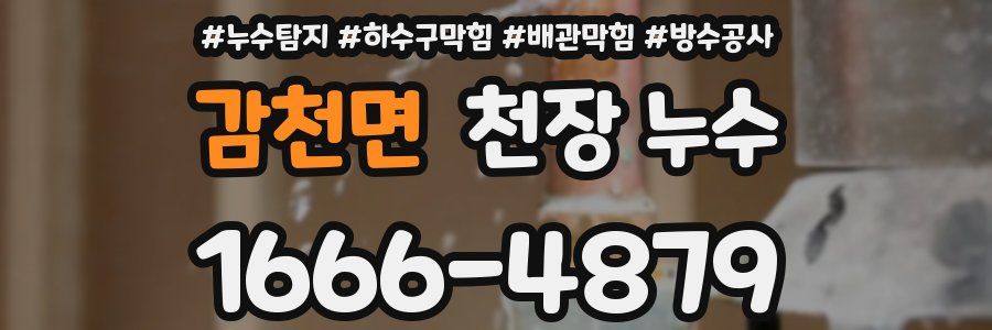 감천면 천장 누수