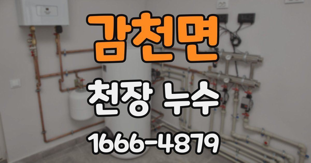 감천면 천장 누수