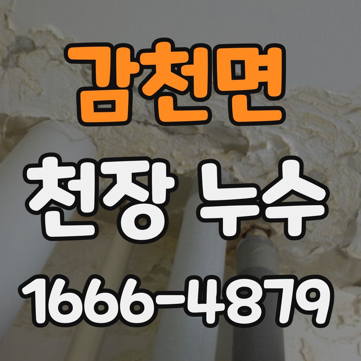 감천면 천장 누수