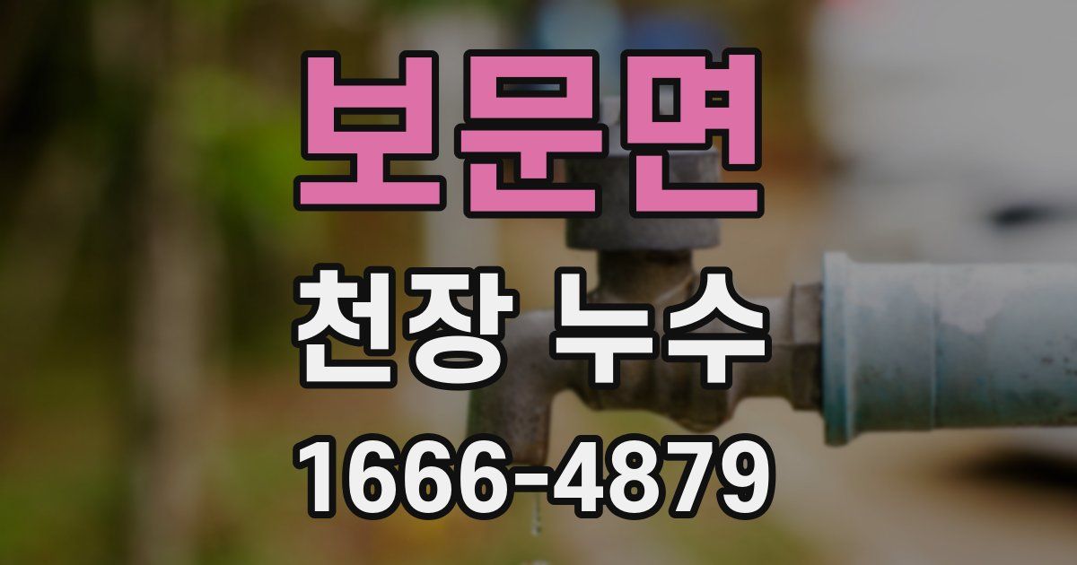 보문면 천장 누수