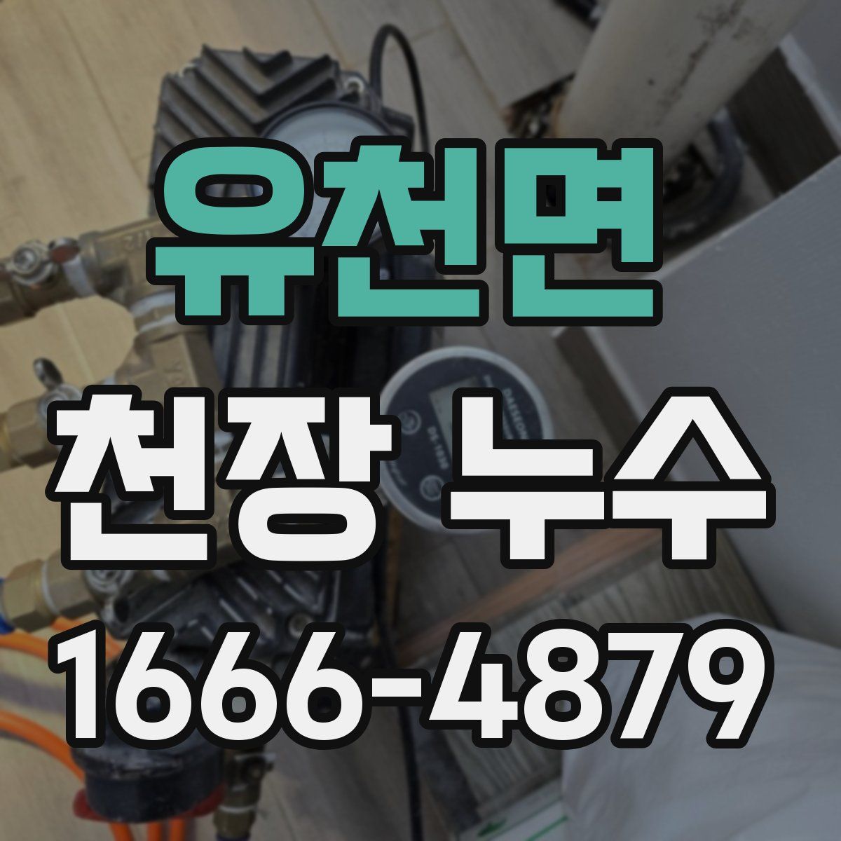 유천면 천장 누수