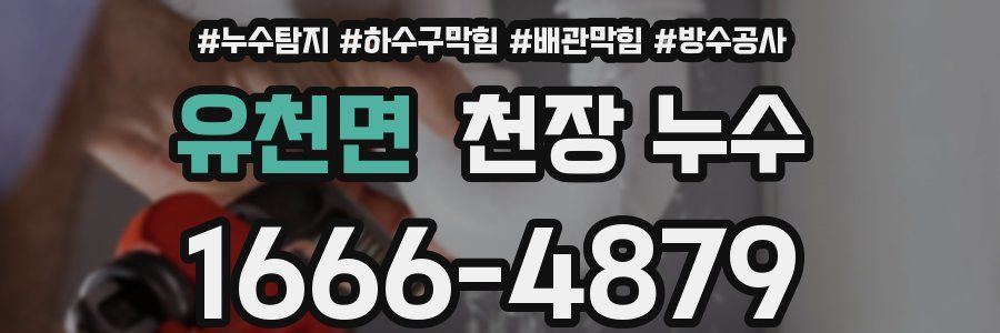 유천면 천장 누수
