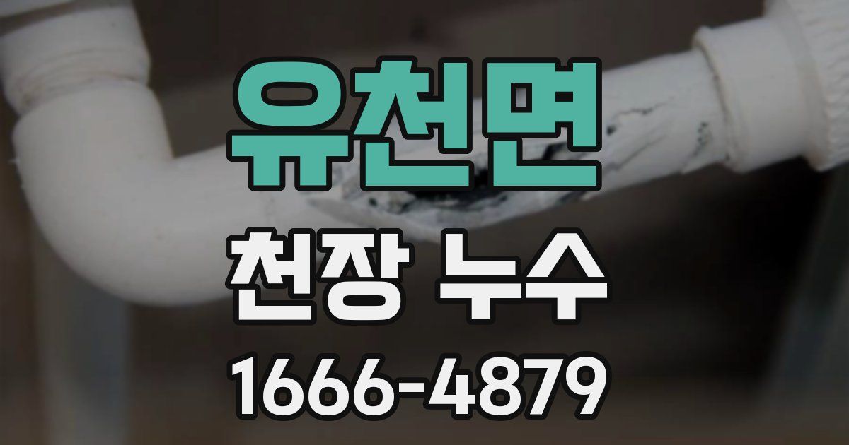 유천면 천장 누수