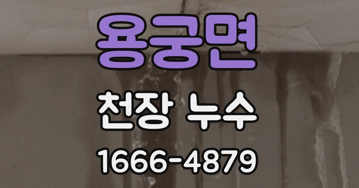 용궁면 천장 누수