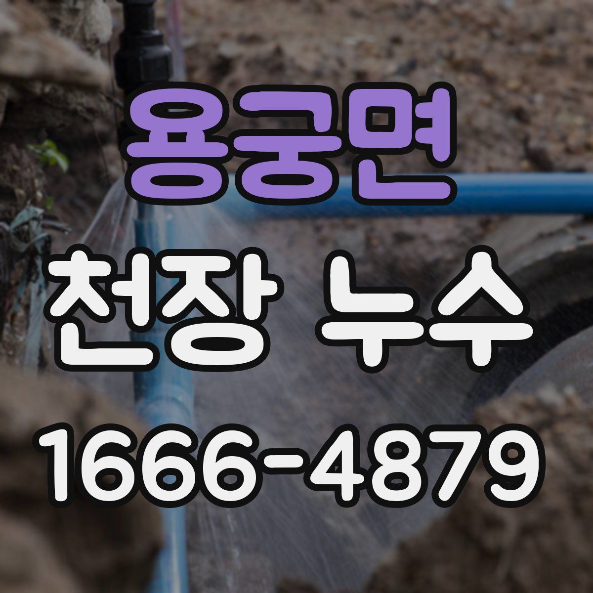 용궁면 천장 누수