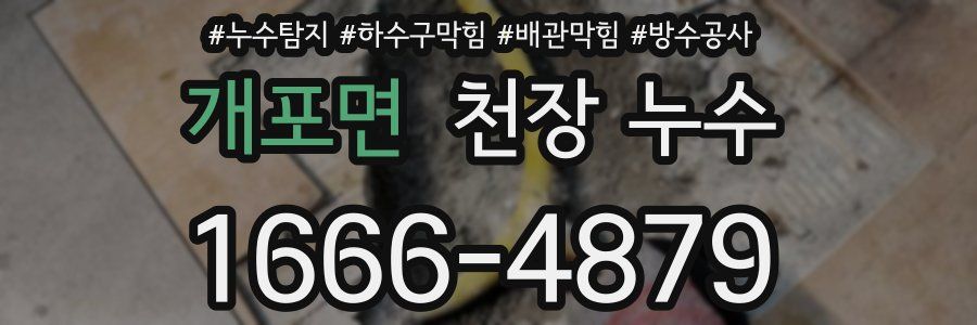 개포면 천장 누수