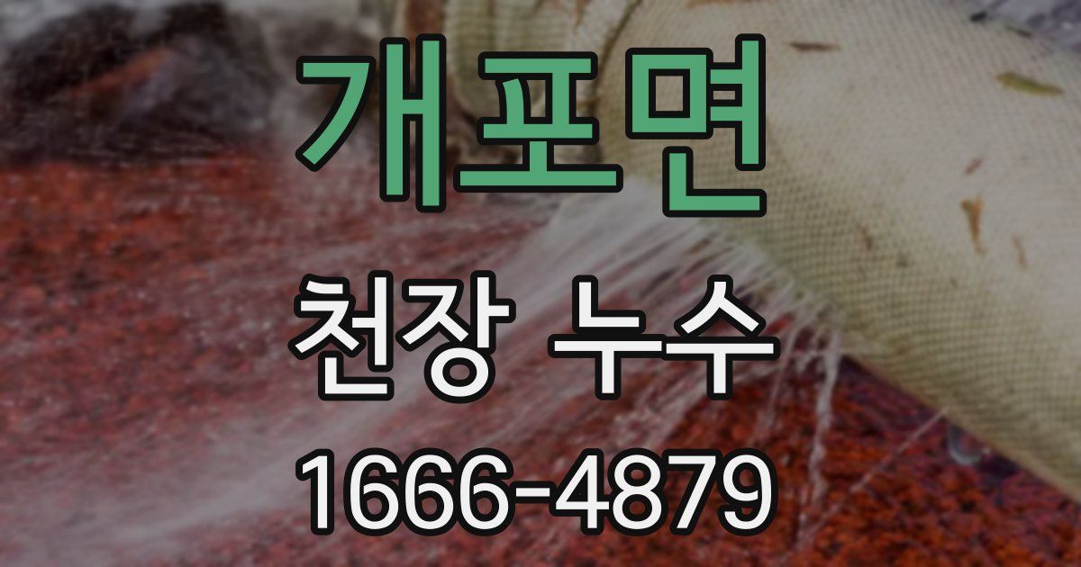 개포면 천장 누수