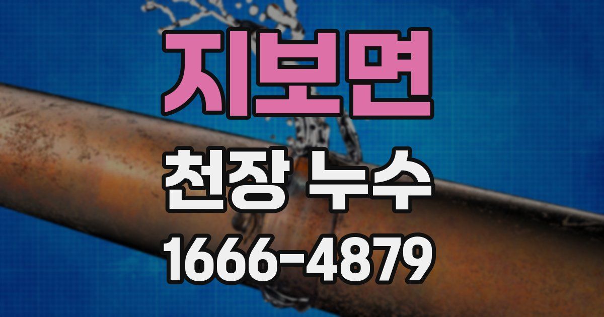 지보면 천장 누수