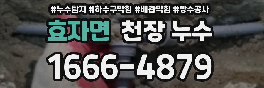 효자면 천장 누수