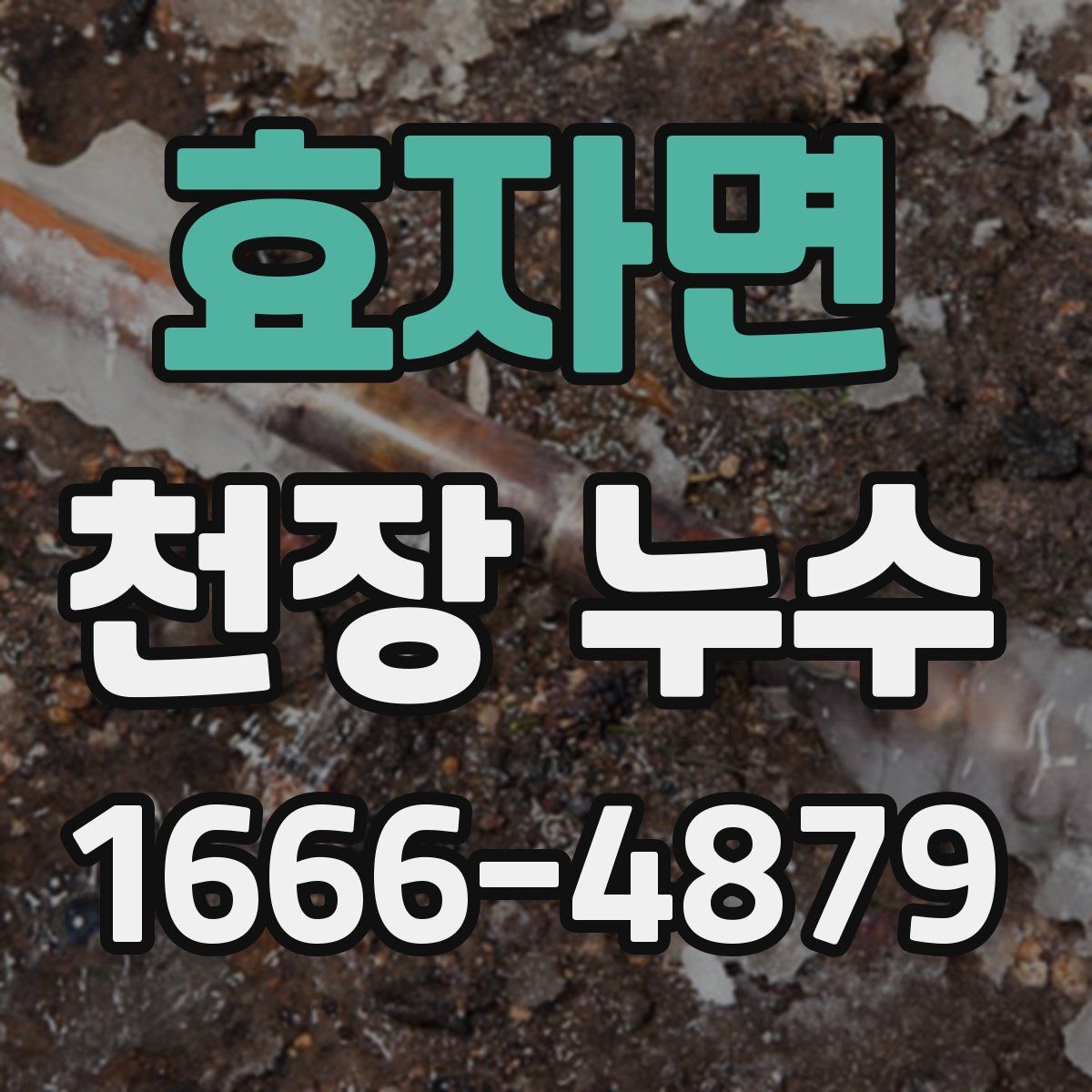효자면 천장 누수