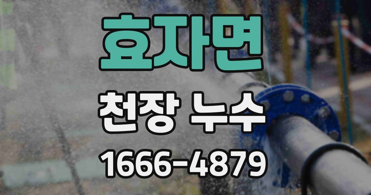 효자면 천장 누수