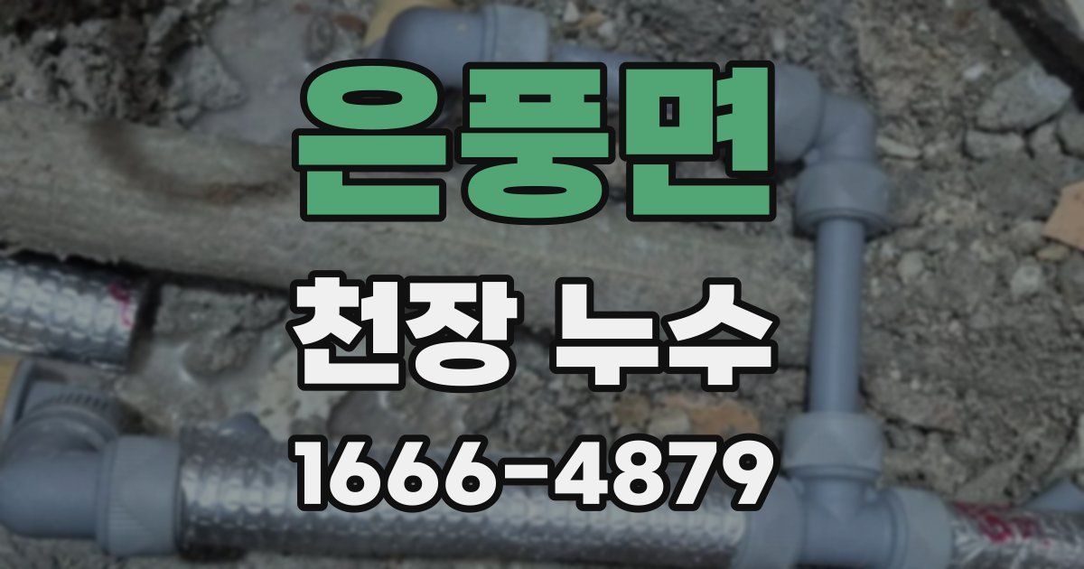 은풍면 천장 누수