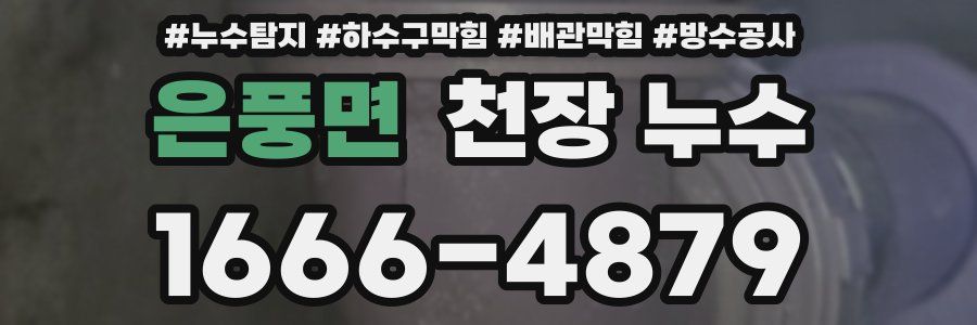 은풍면 천장 누수