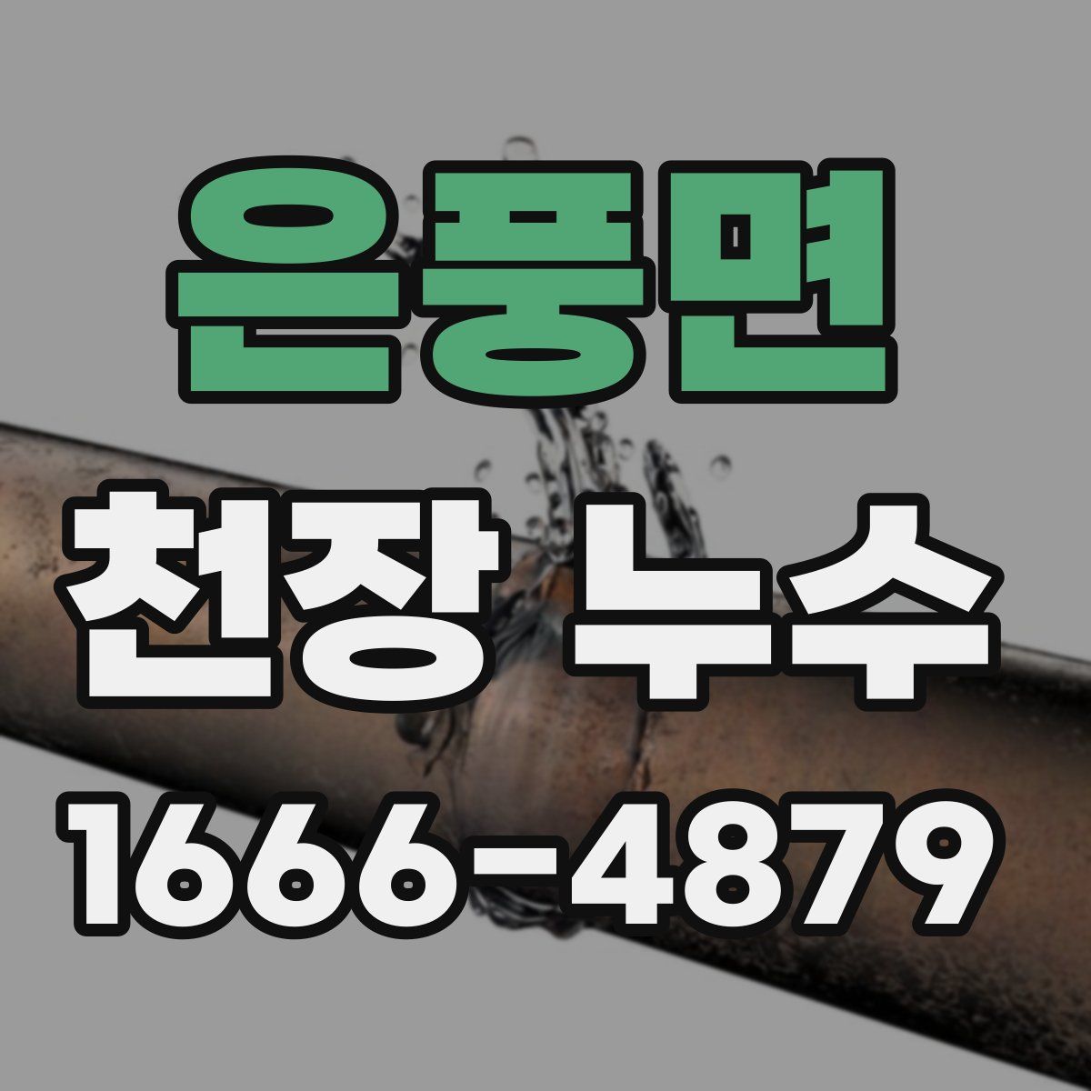 은풍면 천장 누수