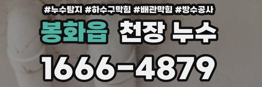봉화읍 천장 누수