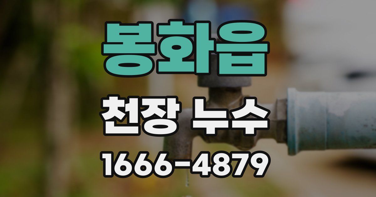 봉화읍 천장 누수