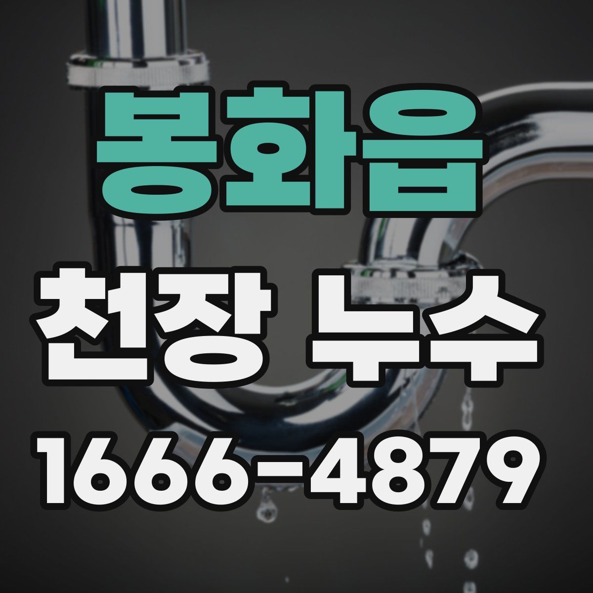 봉화읍 천장 누수