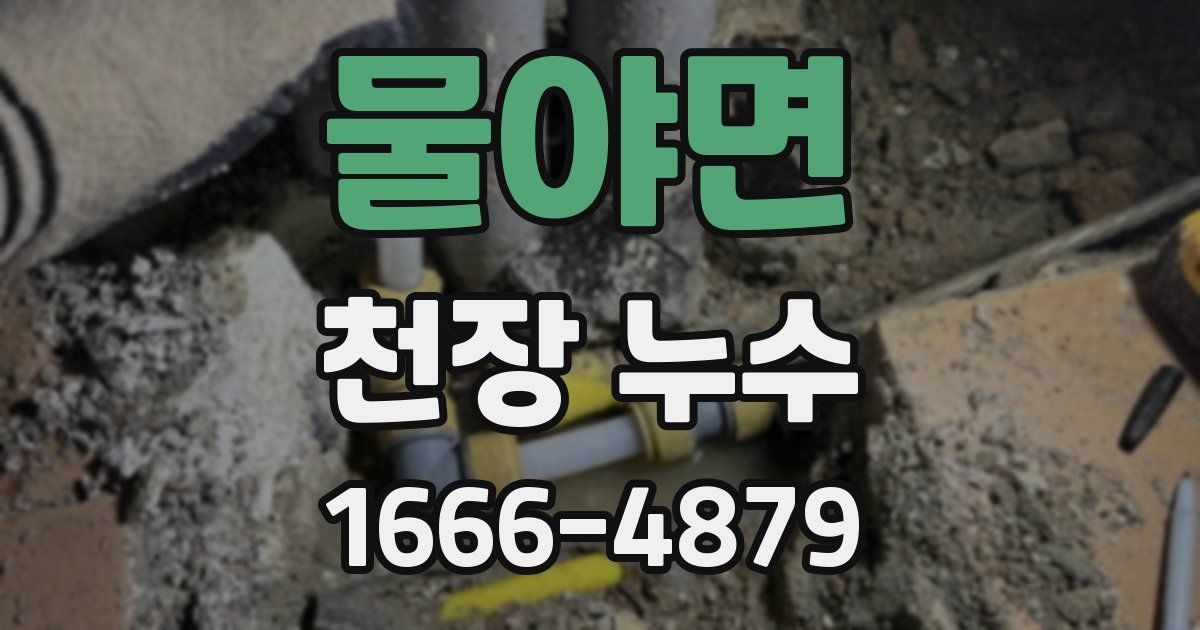 물야면 천장 누수