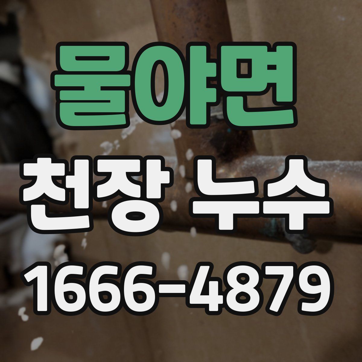 물야면 천장 누수