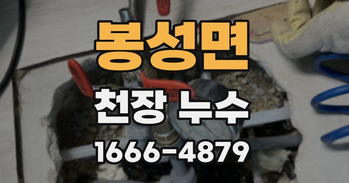 봉성면 천장 누수