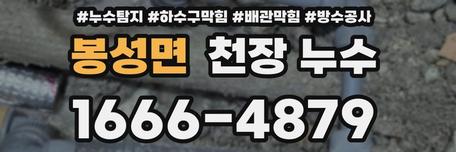 봉성면 천장 누수