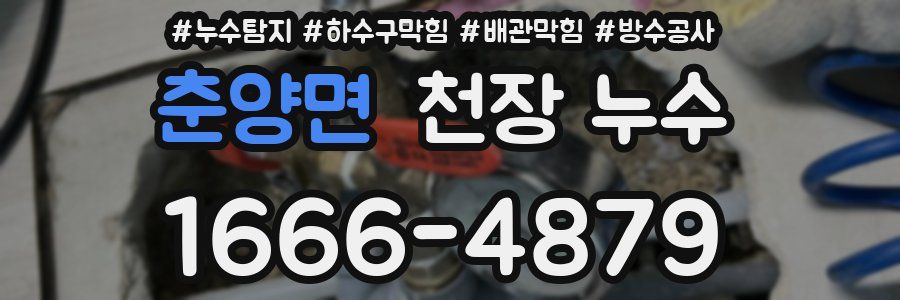 춘양면 천장 누수