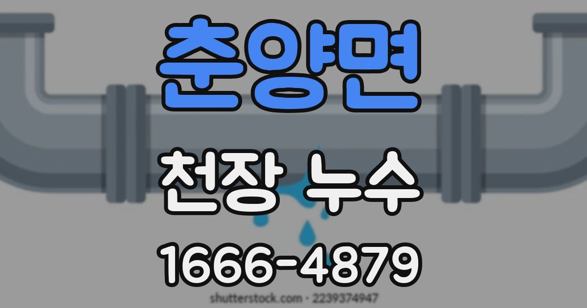 춘양면 천장 누수