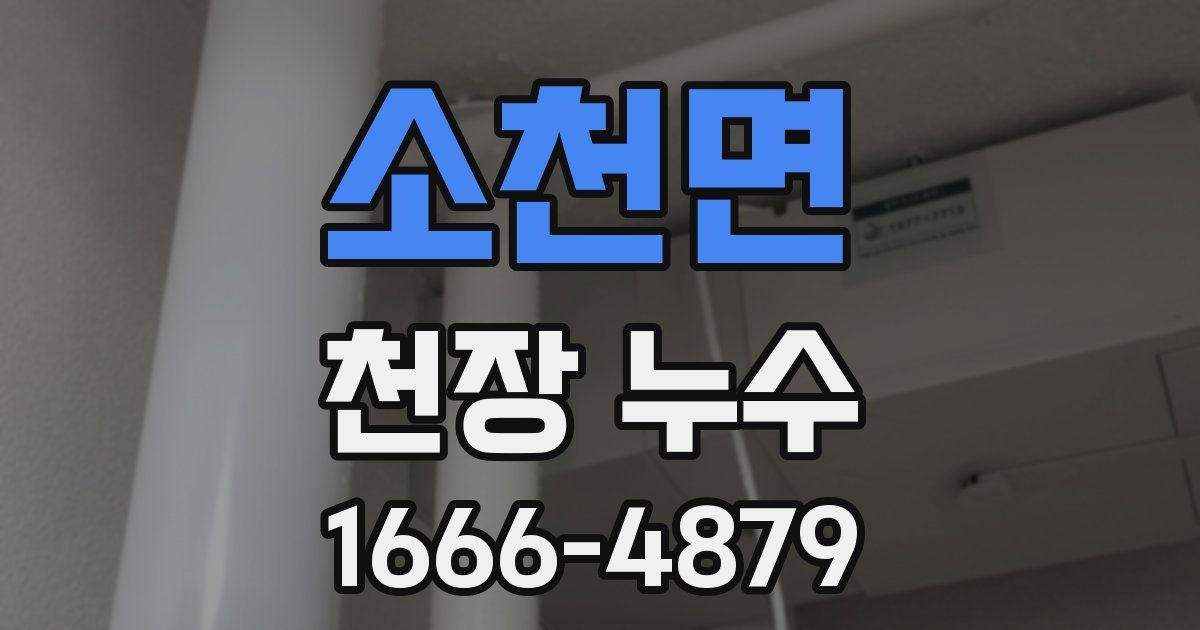 소천면 천장 누수