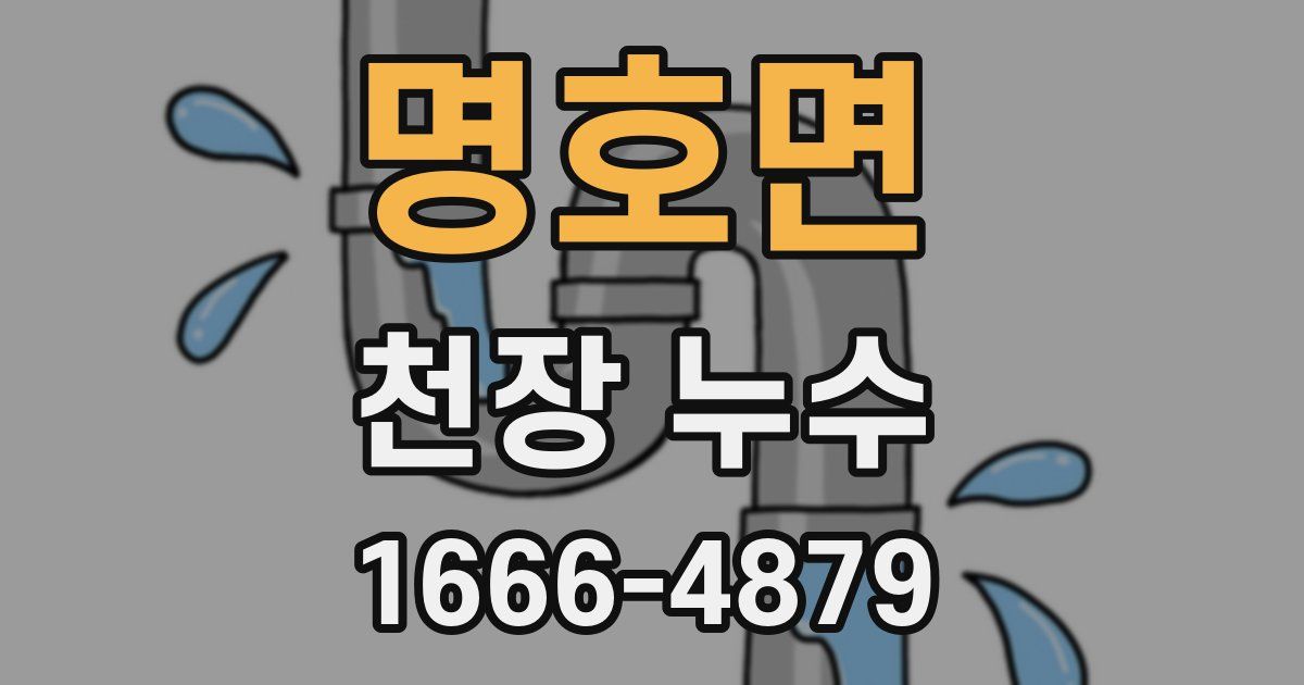 명호면 천장 누수