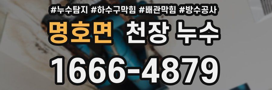 명호면 천장 누수