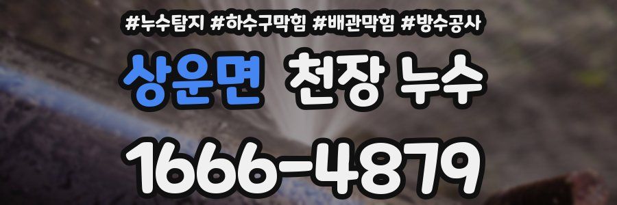상운면 천장 누수