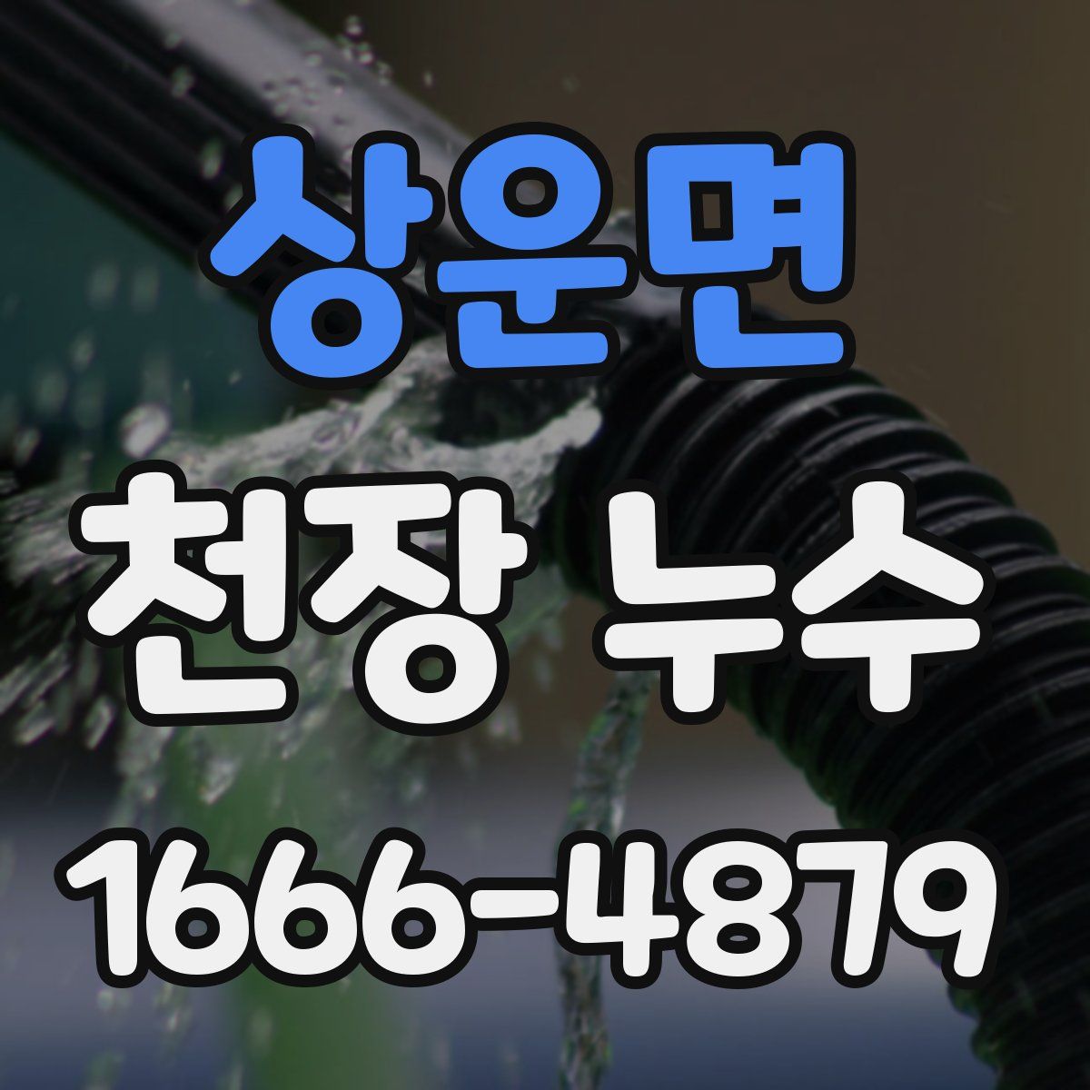 상운면 천장 누수