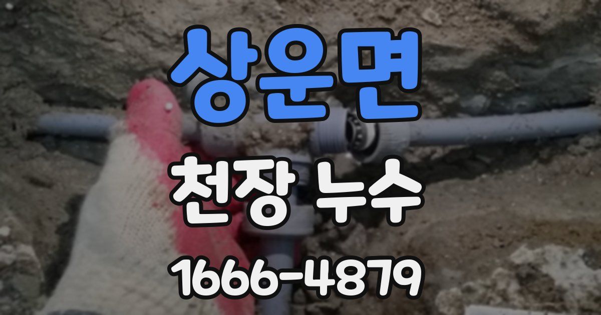 상운면 천장 누수