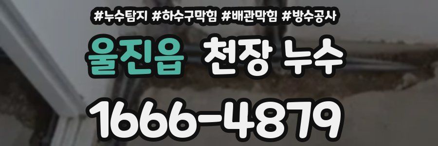 울진읍 천장 누수