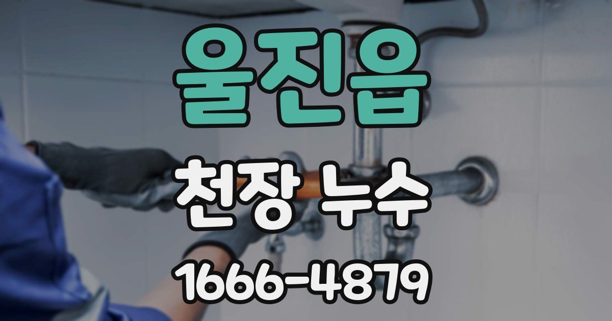 울진읍 천장 누수