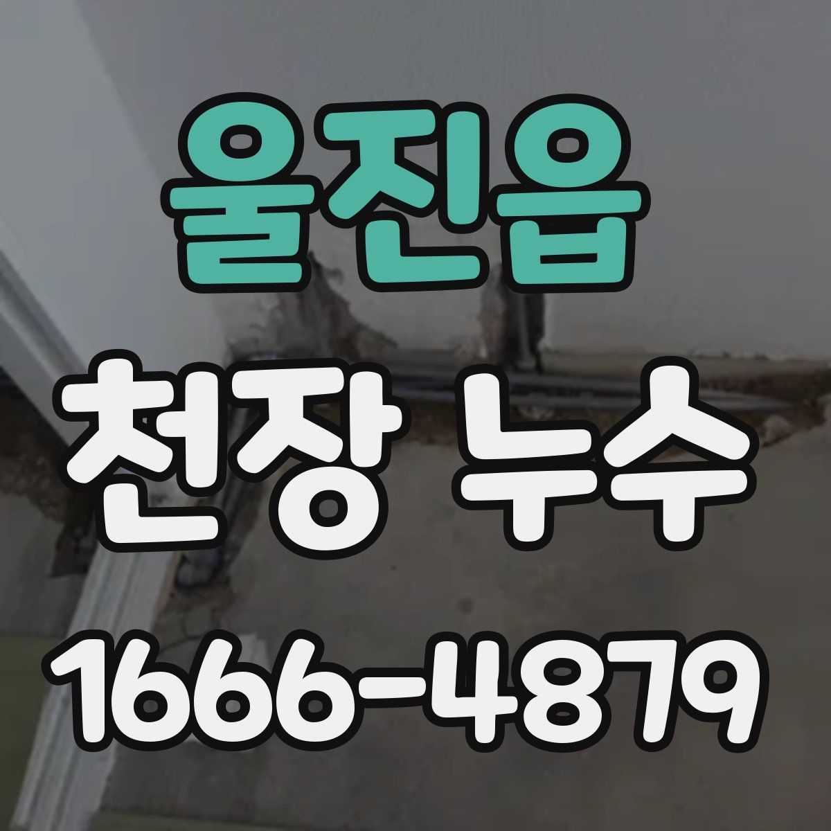 울진읍 천장 누수